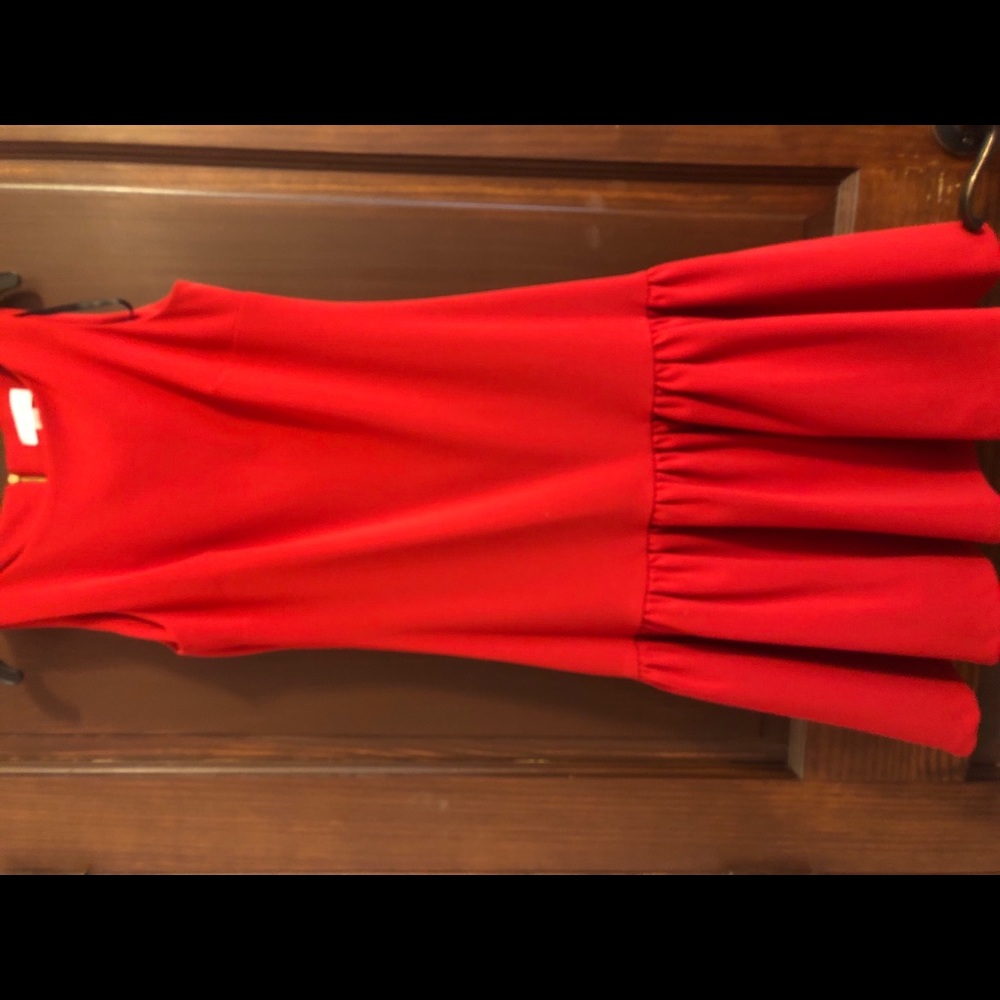 Calvin Klein red professional dress